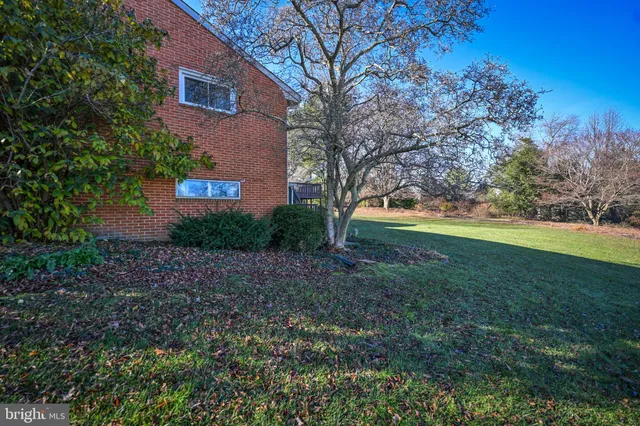 a view of a yard with plants and trees