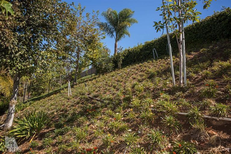14396 Peach Hill Road Moorpark, CA 93021 - Photo 44 of 45 a view of a yard with plants and trees