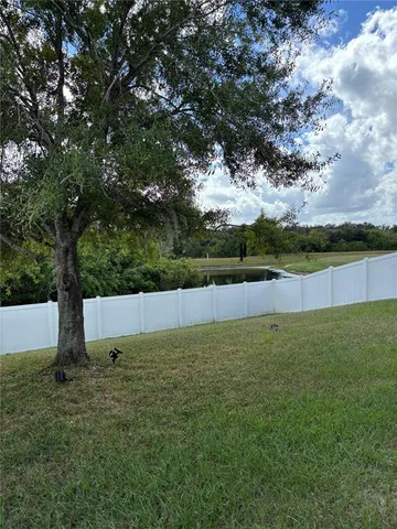 a view of a green field with a tree