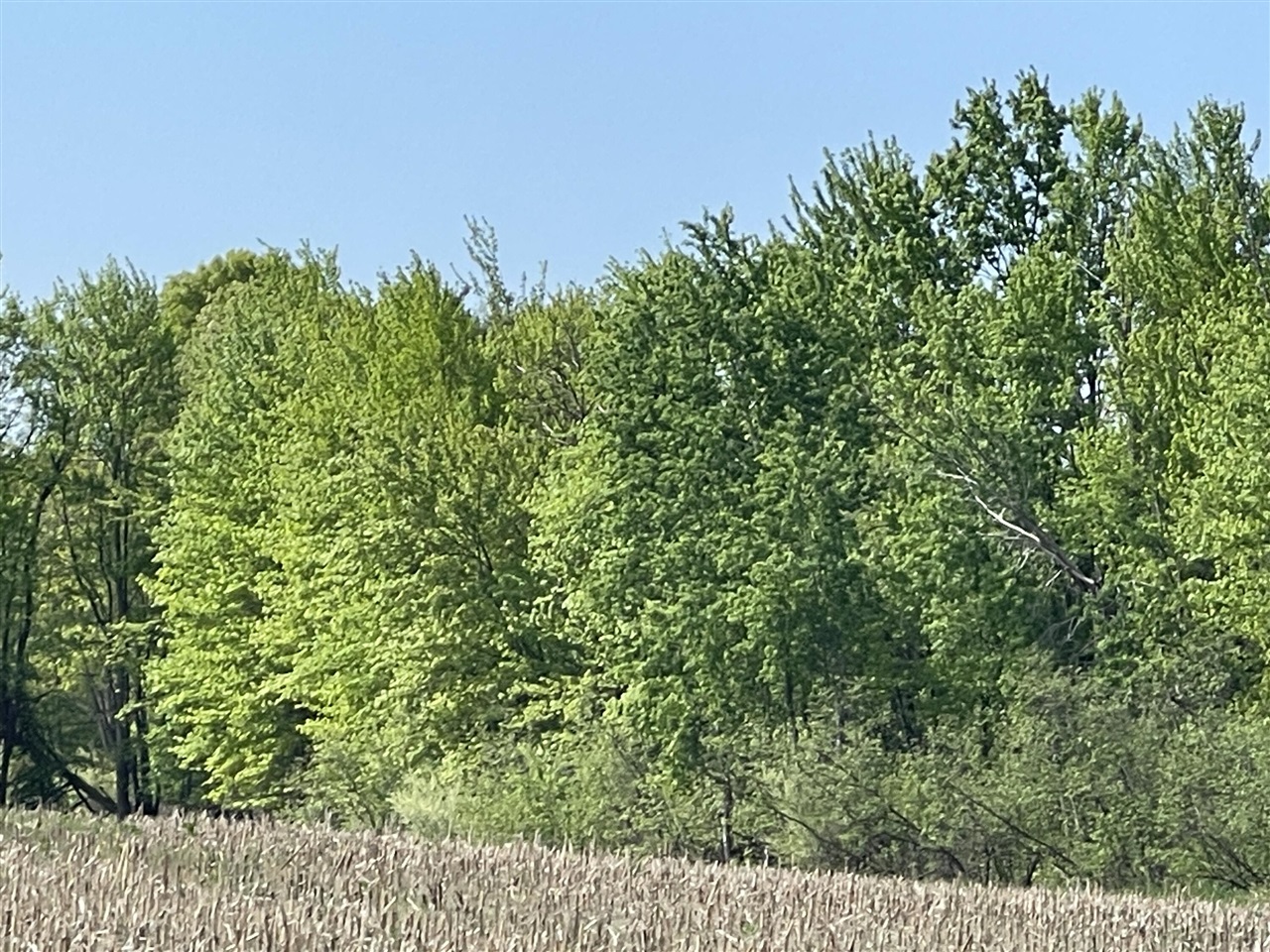 4514 22 Mile Road Northeast, Unit PARCEL 1 Sand Lake, MI 49343 - Photo 10 of 17