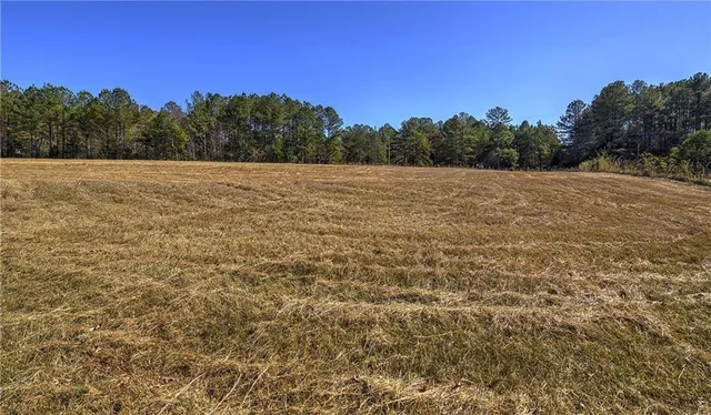 a view of a field with a tree in the background
