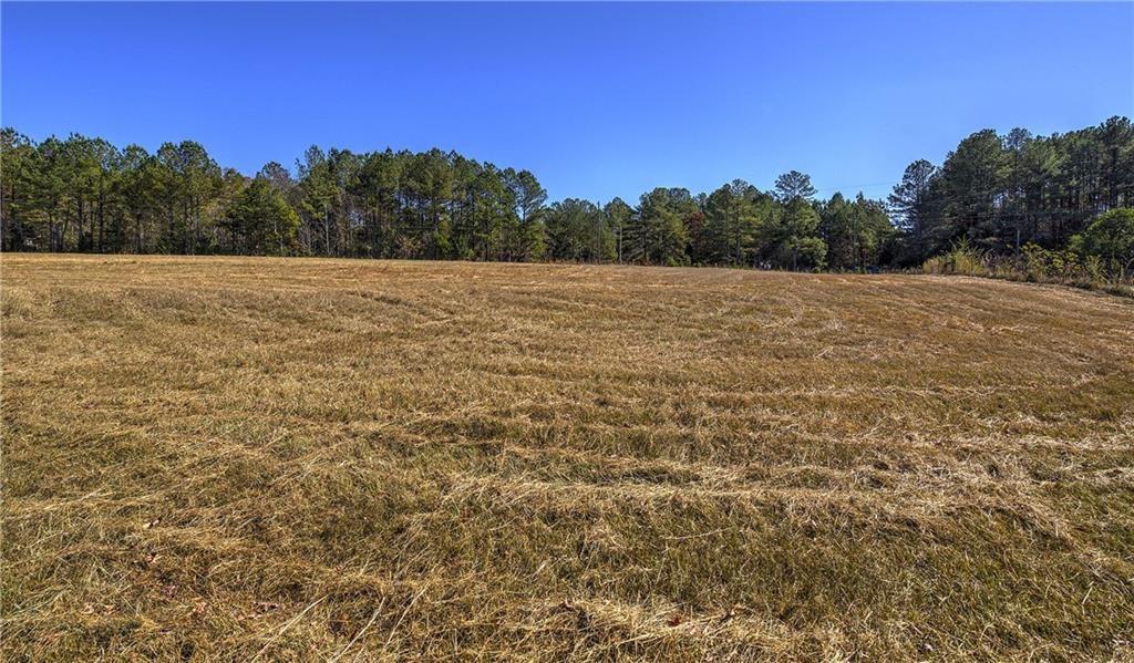 91 Davis Loop Kingston, GA 30145 - Photo 19 of 24 a view of a field with a tree in the background