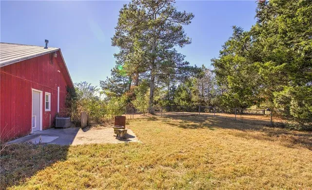 a view of a yard with plants and large trees