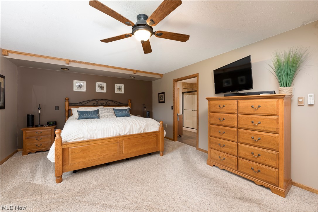 5659 State Rte 5 Ravenna, OH 44266 - Photo 14 of 48 Carpeted bedroom with connected bathroom and ceiling fan