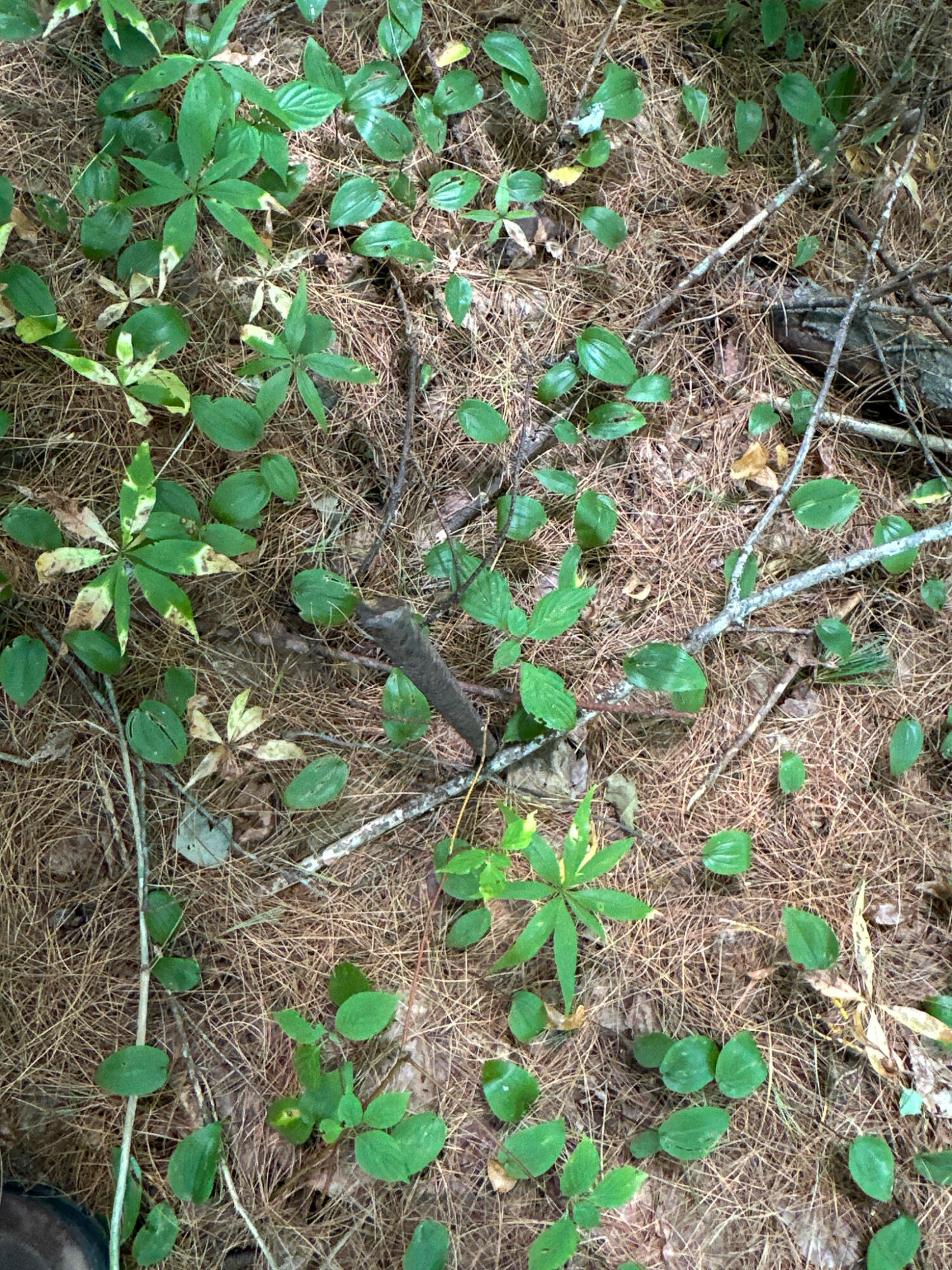 11-2 S Road Lee, ME 04455 - Photo 11 of 13 7