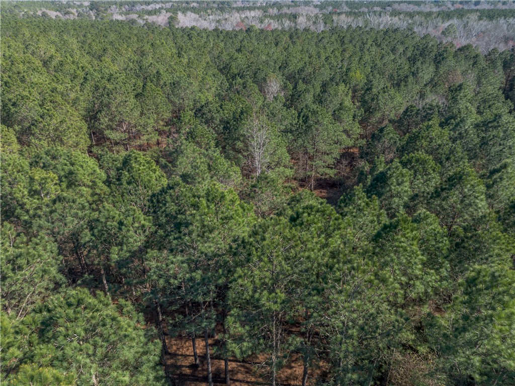 Lot 1 Ben Giddens Road Eastman, GA 31023 - Photo 4 of 9