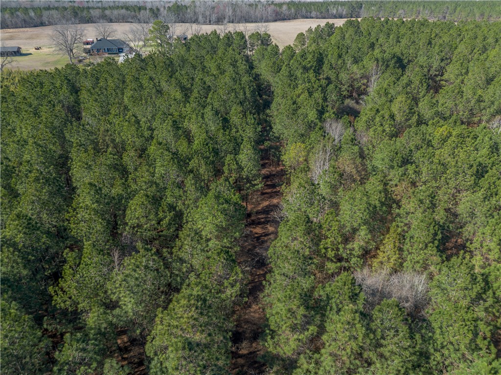 Lot 1 Ben Giddens Road Eastman, GA 31023 - Photo 5 of 9