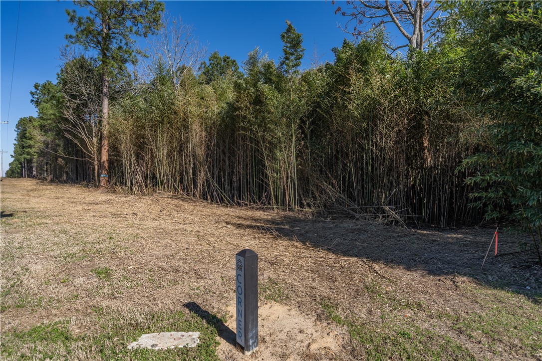 Lot 1 Ben Giddens Road Eastman, GA 31023 - Photo 7 of 9