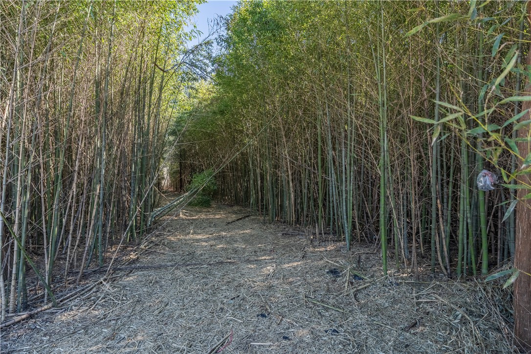 Lot 1 Ben Giddens Road Eastman, GA 31023 - Photo 8 of 9