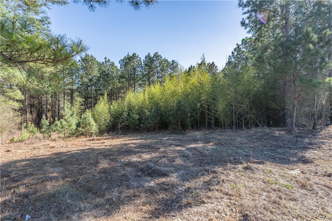 Lot 1 Ben Giddens Road Eastman, GA 31023 - Photo 9 of 9
