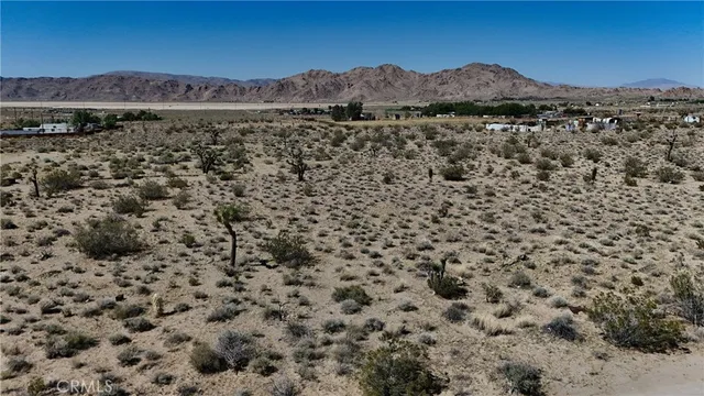 a view of a bunch of trees and mountain