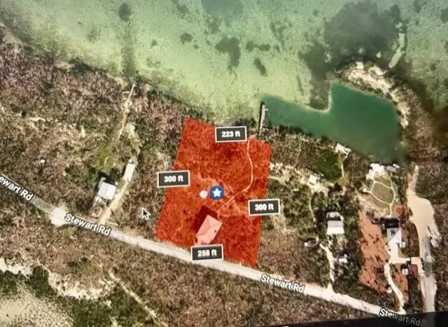 a front view of house with yard and trees