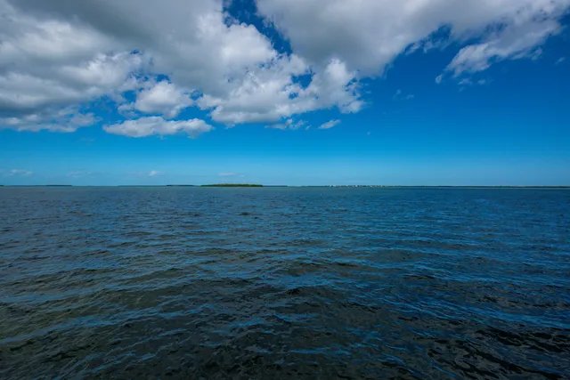 a backyard of a house with a yard and lake view