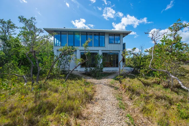 a view of a green field with lots of bushes