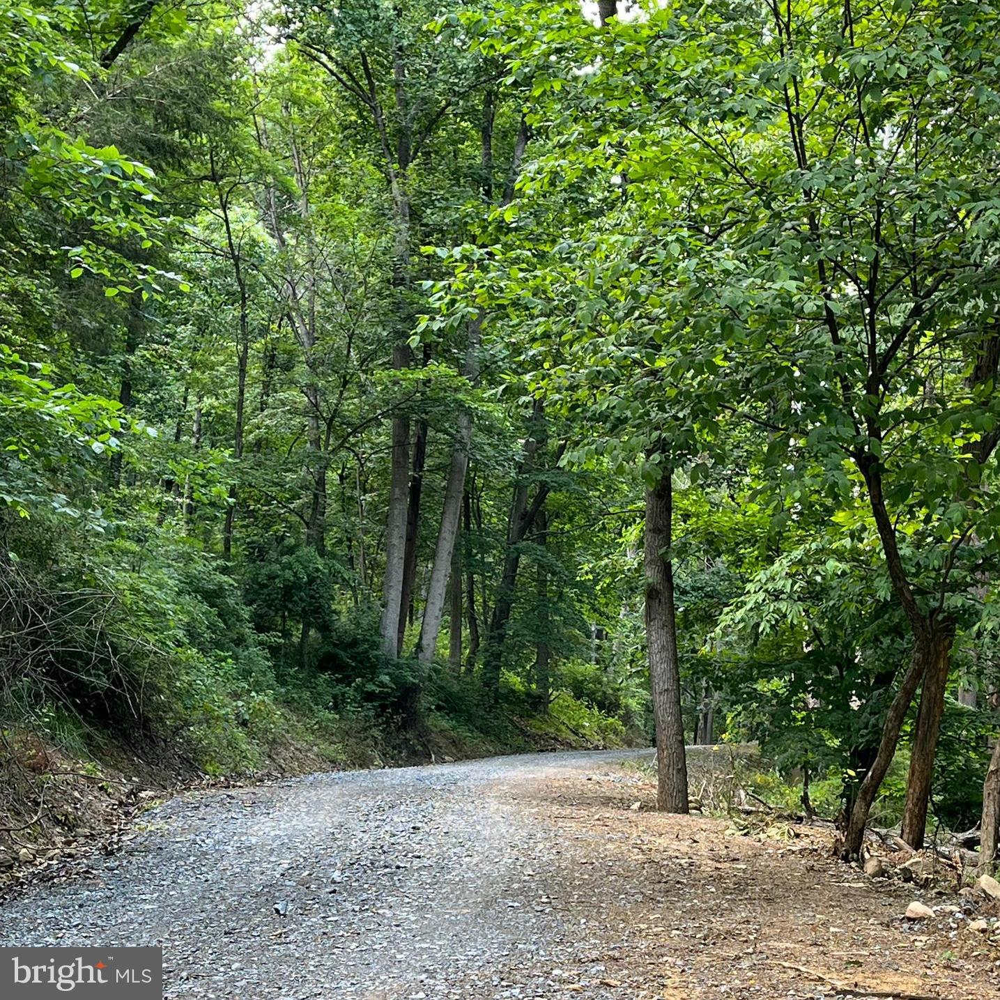 12 Galloway Spring Lane Shenandoah, VA 22849 - Photo 13 of 18