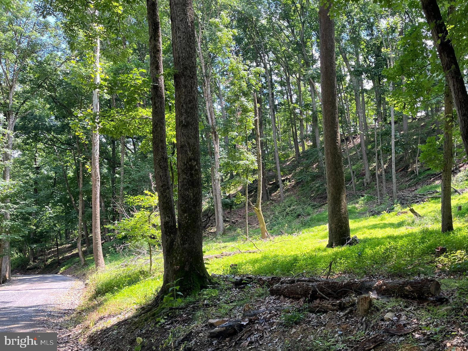 12 Galloway Spring Lane Shenandoah, VA 22849 - Photo 14 of 18