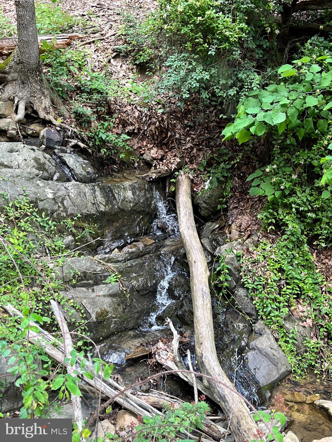 12 Galloway Spring Lane Shenandoah, VA 22849 - Photo 15 of 18