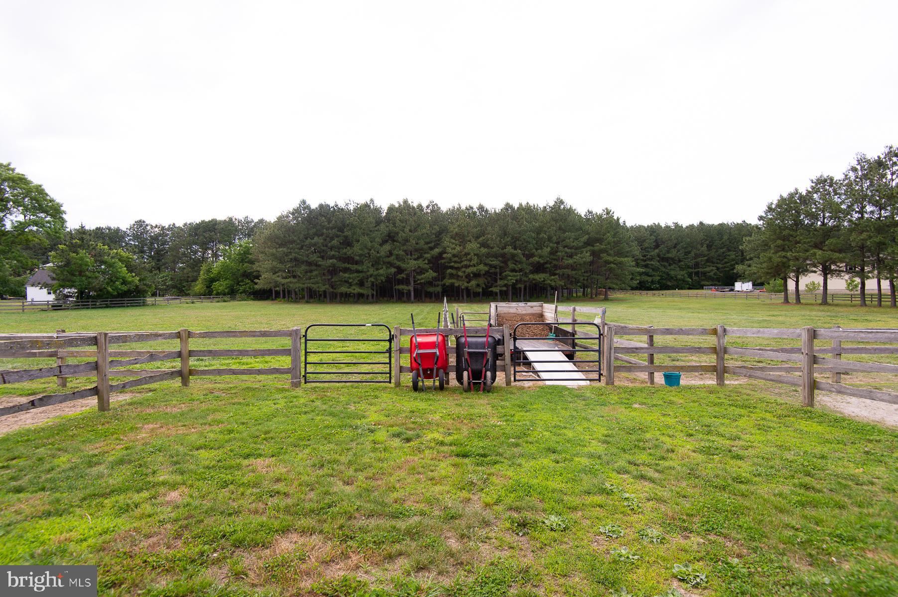 12136 Holly Road Ridgely, MD 21660 - Photo 95 of 136