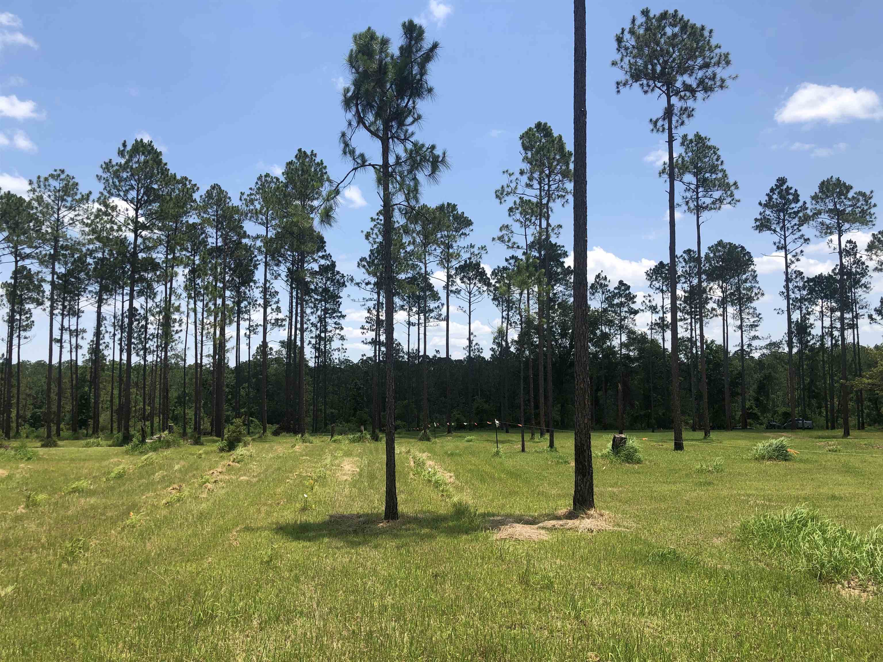 32642 County Road 64 Extension Robertsdale, AL 36567 - Photo 3 of 7