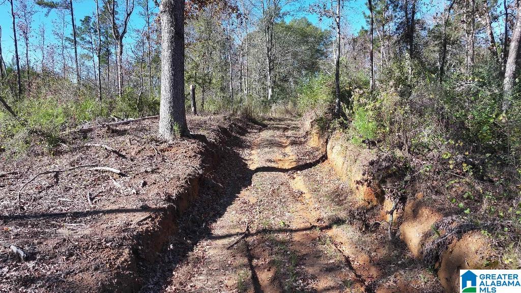 200 Kelly Creek Road Odenville, AL 35120 - Photo 44 of 47