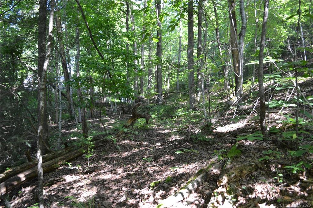 0 Roundabout Road Lake Lure, NC 28746 - Photo 3 of 7 Gallery Image 3