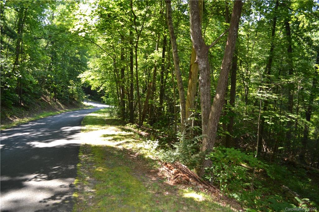 0 Roundabout Road Lake Lure, NC 28746 - Photo 5 of 7 Gallery Image 5