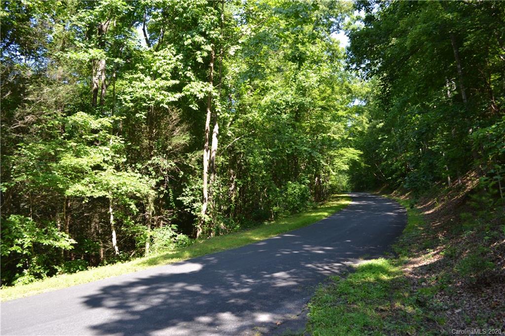 0 Roundabout Road Lake Lure, NC 28746 - Photo 6 of 7 Gallery Image 6