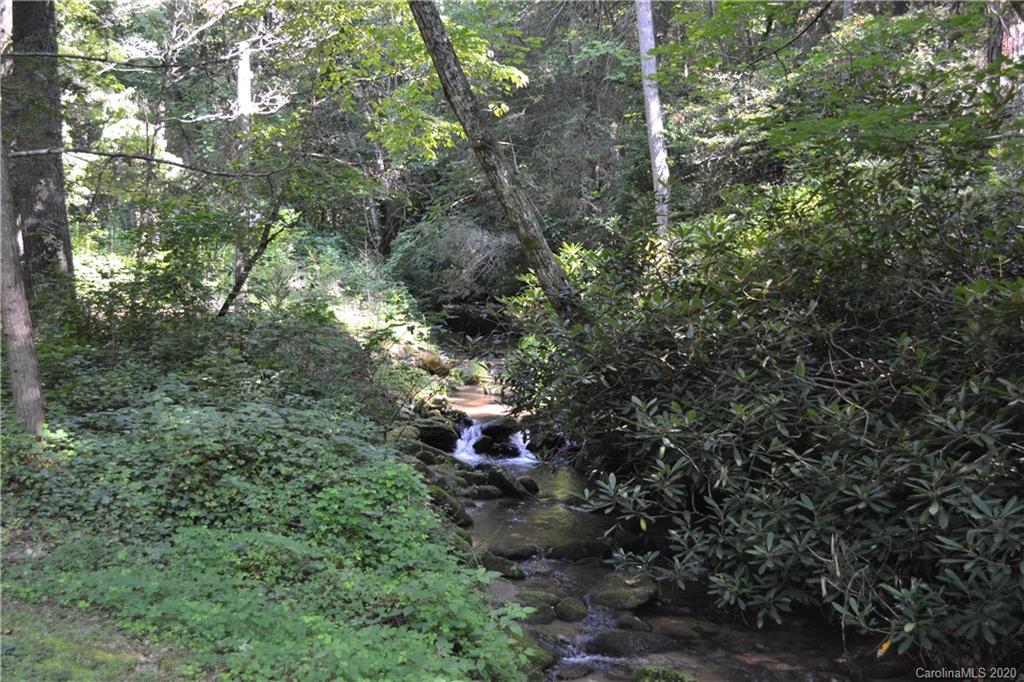 0 Roundabout Road Lake Lure, NC 28746 - Photo 7 of 7 Gallery Image 7