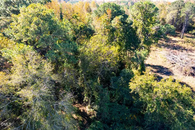 a view of a tree in a yard