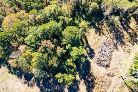 a picture of flowers