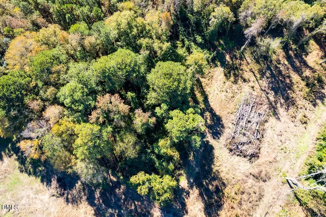 a picture of flowers