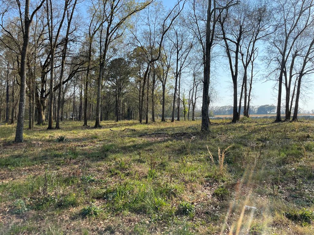 -lot I Prevatt Road Ashford, AL 36312 - Photo 1 of 1
