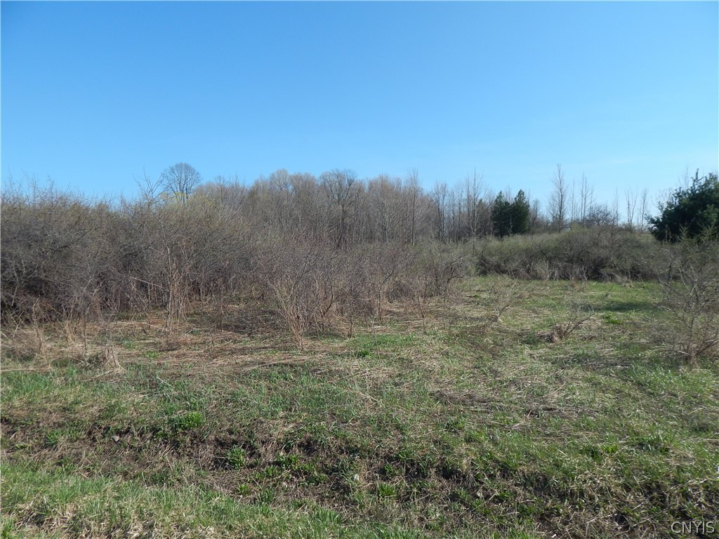 3918 Alene Corners Road Canastota, NY 13032 - Photo 2 of 10