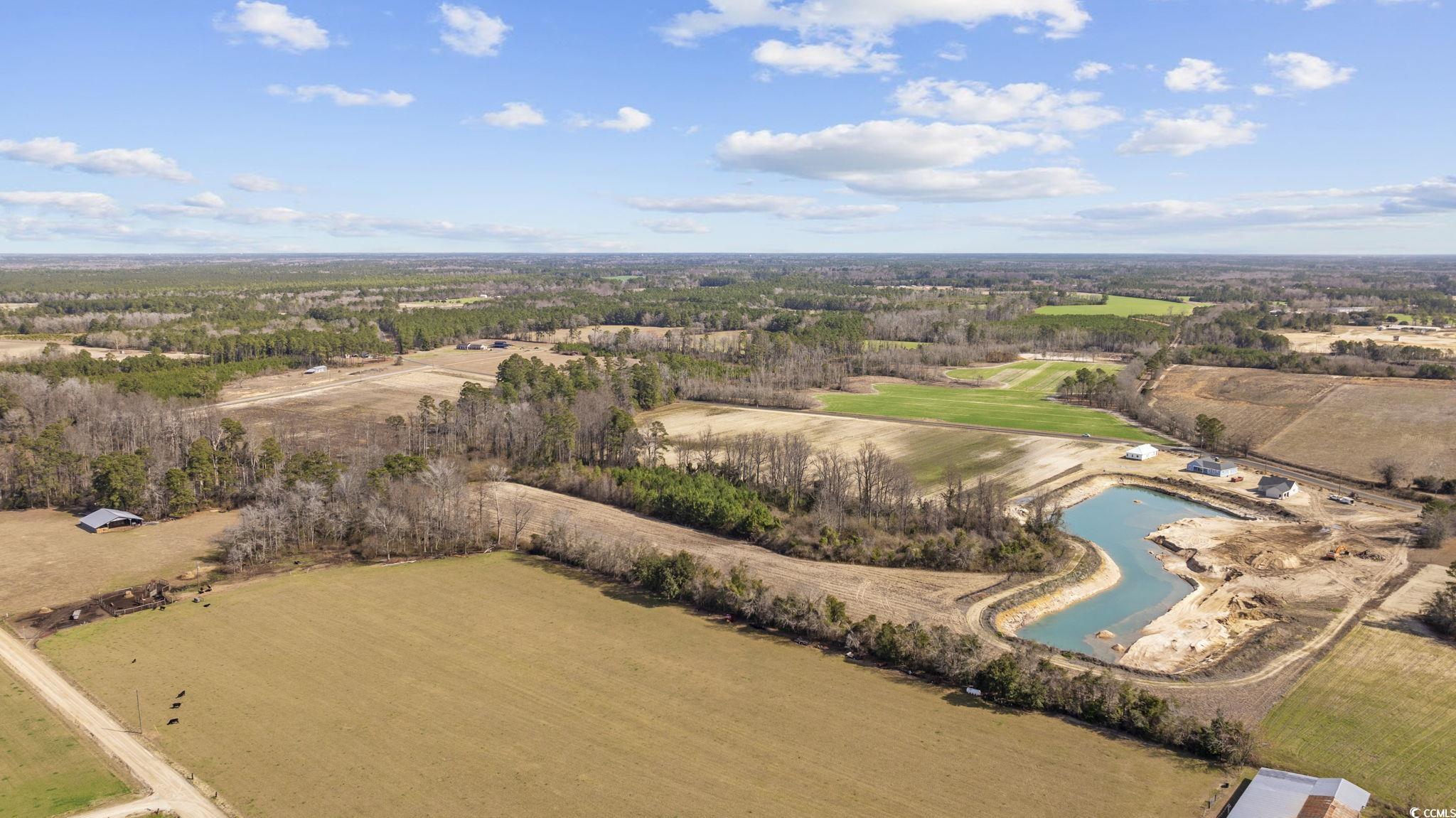 Tbd Gurley Road Loris, SC 29569 - Photo 16 of 22
