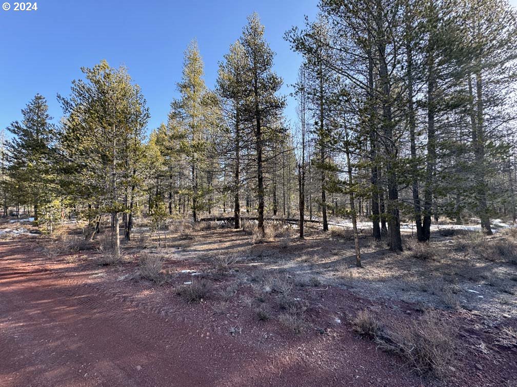 Scott View Drive Chiloquin, OR 97624 - Photo 2 of 24