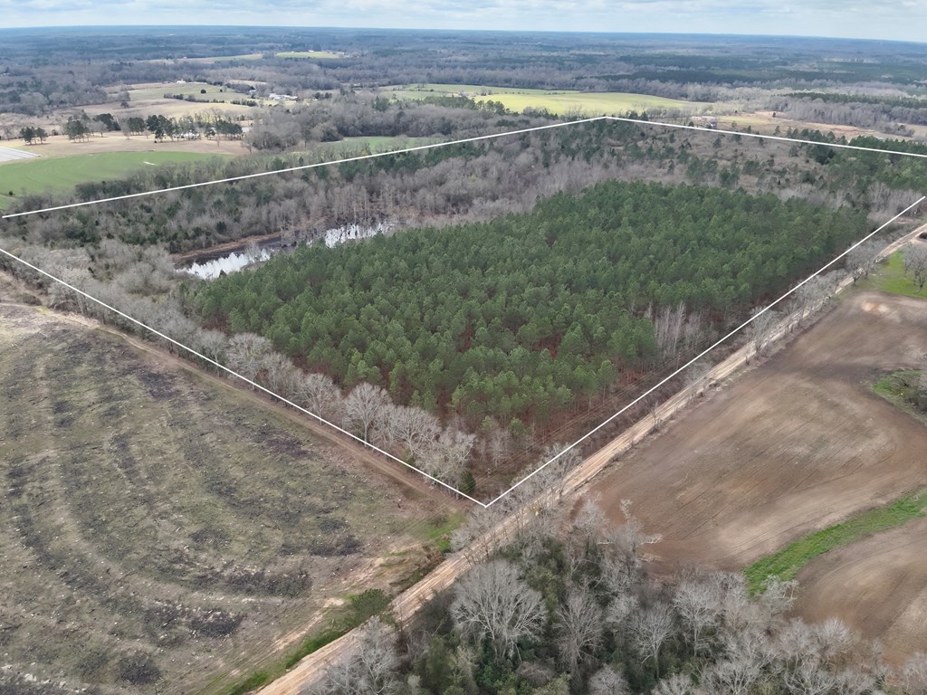 86-acres New Hinson Road Slocomb, AL 36375 - Photo 14 of 15