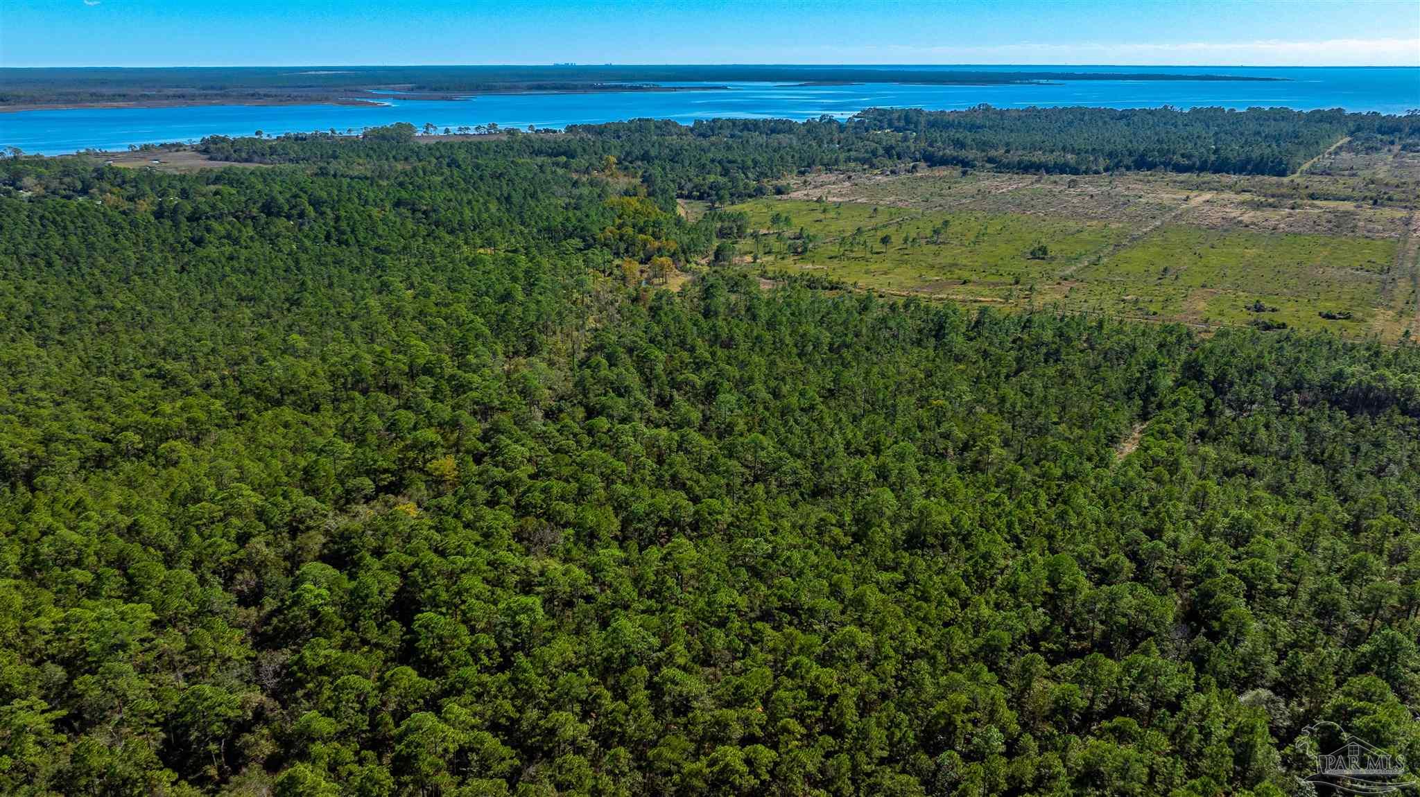 0 Sandy Point Street Milton, FL 32583 - Photo 5 of 6 a view of an ocean and a mountain