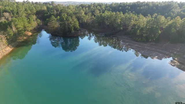 a view of a lake from a yard