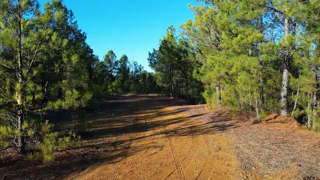 a view of backyard with green space