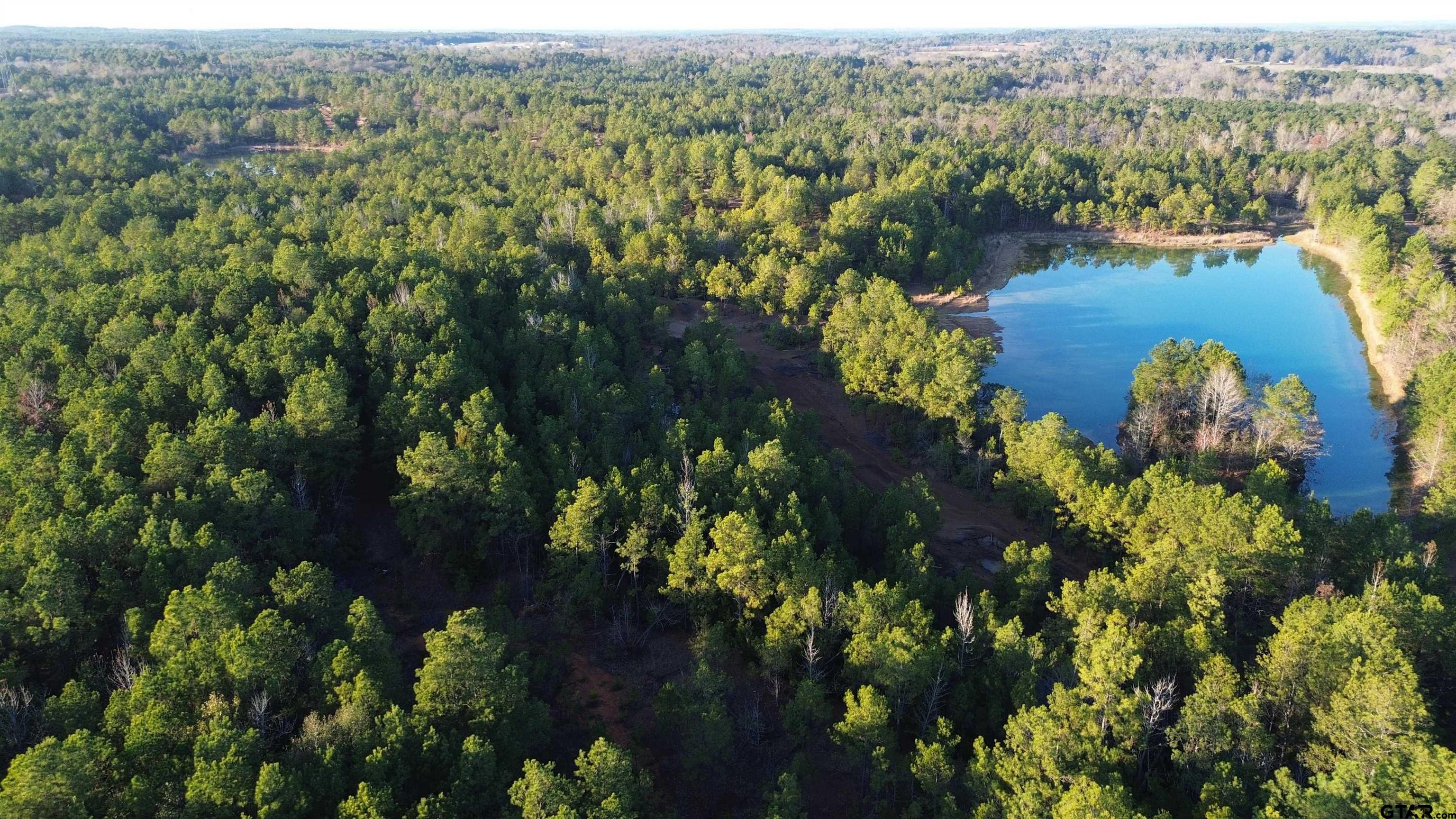 1204 Vance Hughes Springs, TX 75656 - Photo 12 of 26 a view of a lake with a mountain view