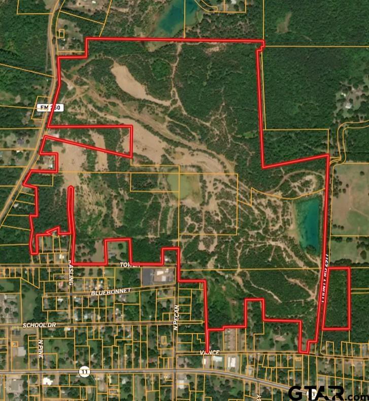 1204 Vance Hughes Springs, TX 75656 - Photo 14 of 26