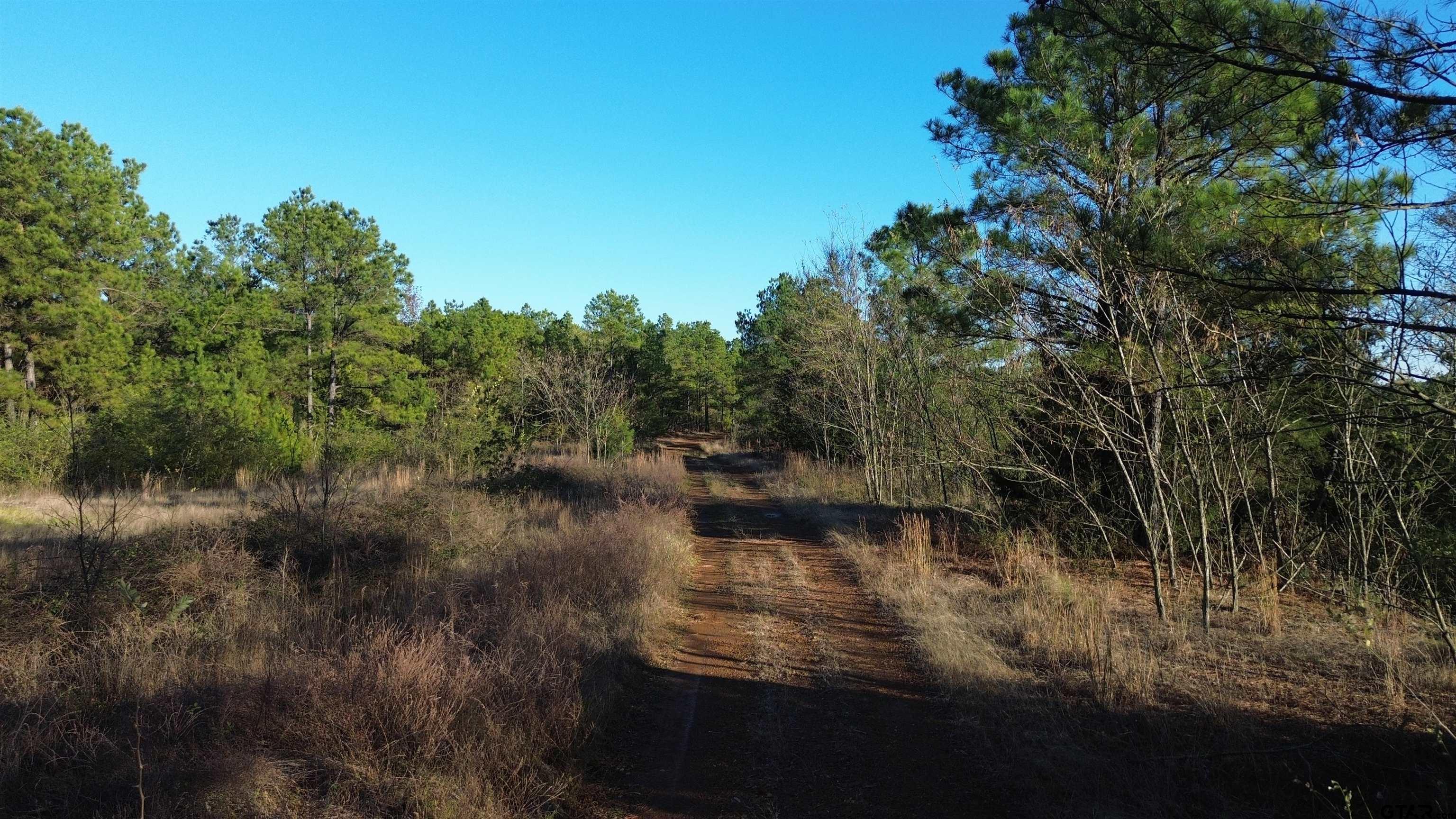 1204 Vance Hughes Springs, TX 75656 - Photo 15 of 26 a view of water with a yard