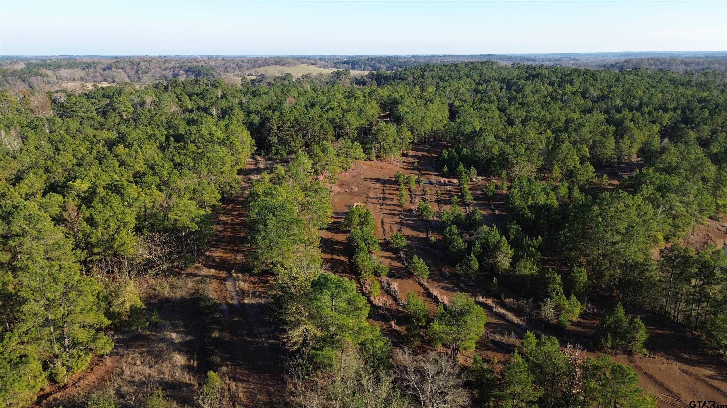 1204 Vance Hughes Springs, TX 75656 - Photo 17 of 26 a view of a city with lush green forest