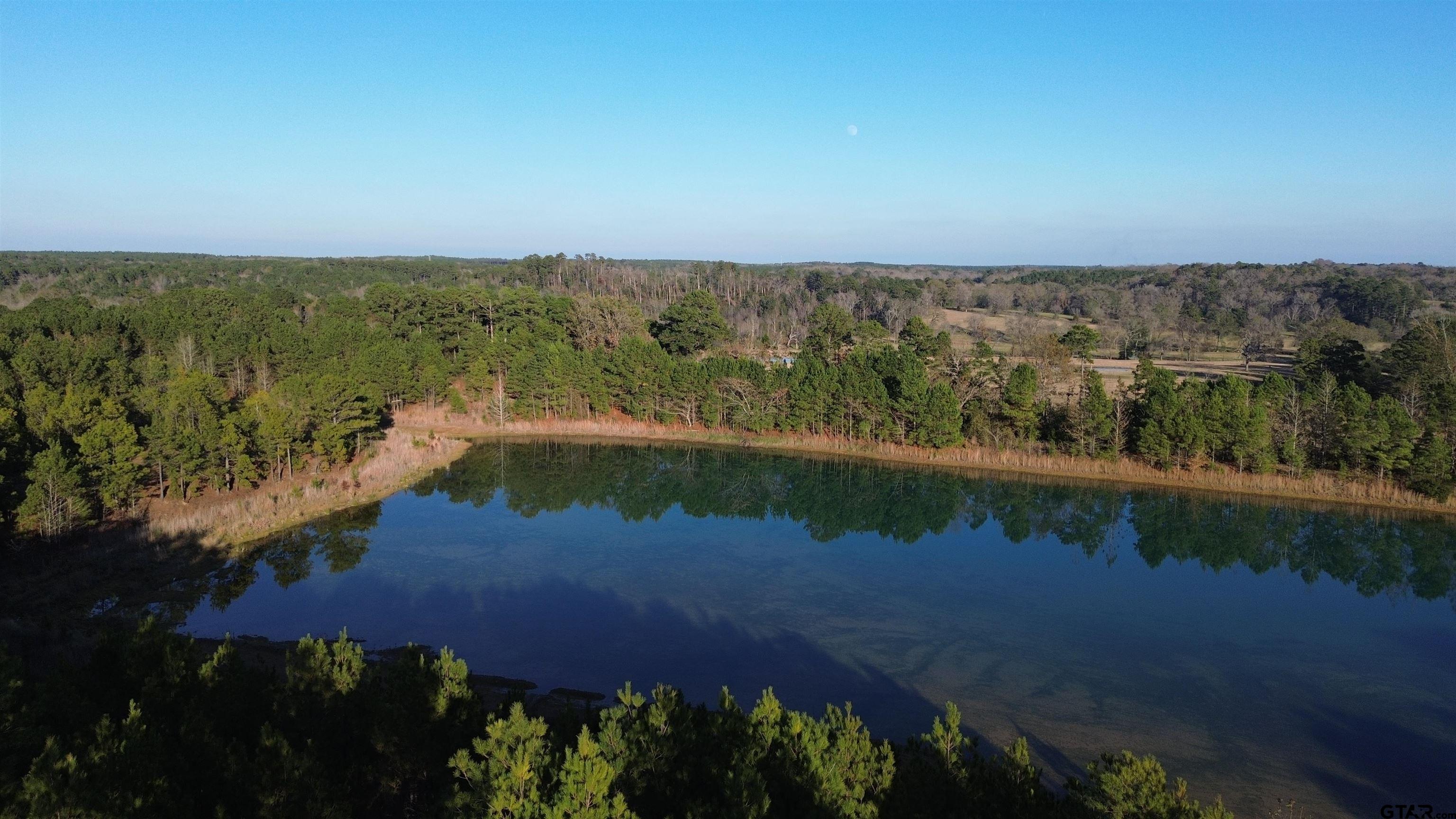1204 Vance Hughes Springs, TX 75656 - Photo 19 of 26 a view of a lake with a yard