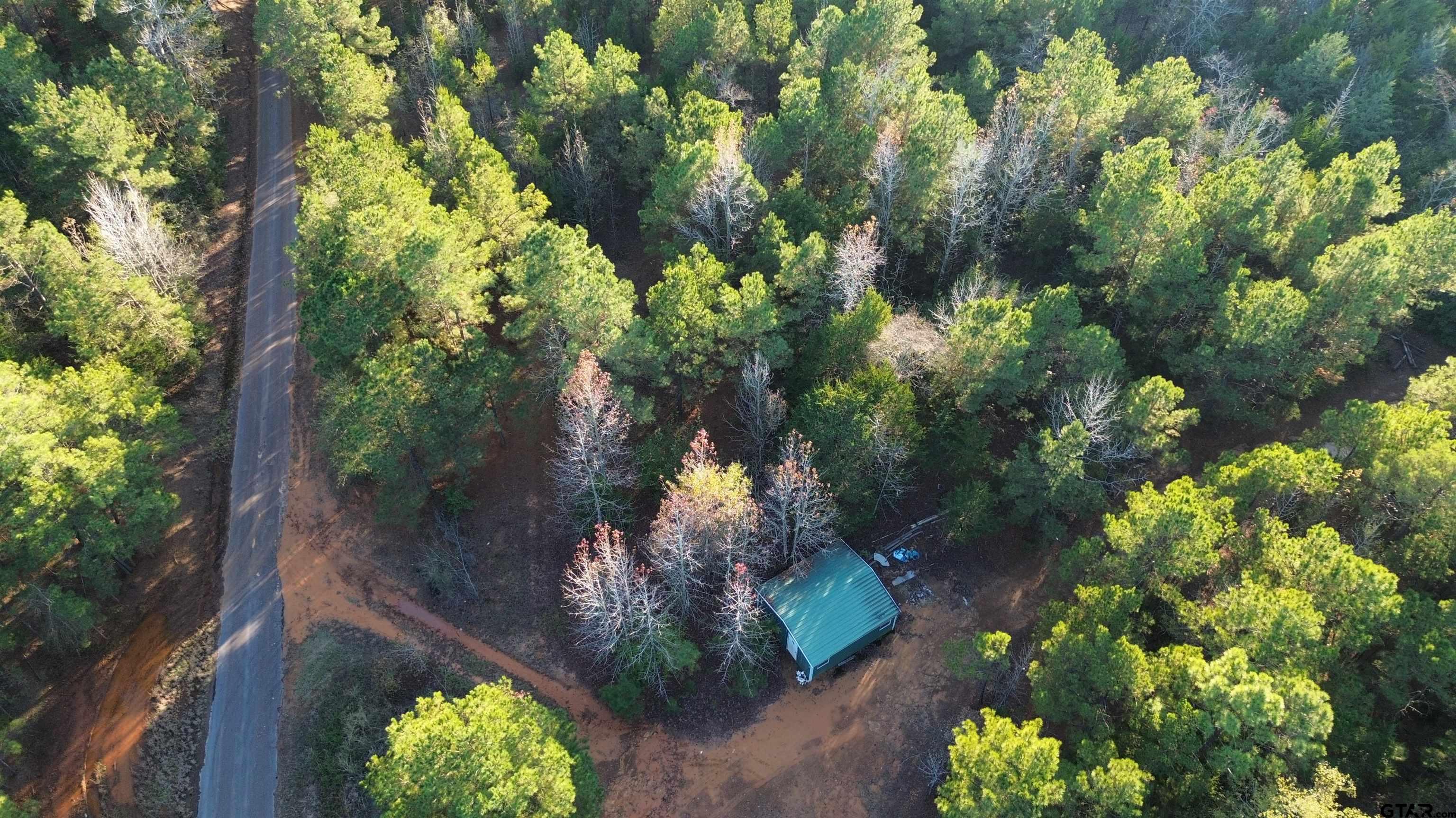 1204 Vance Hughes Springs, TX 75656 - Photo 20 of 26 a picture of flowers and tree