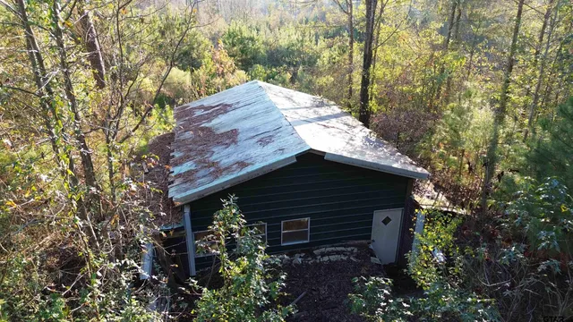 a view of a backyard with plants and large trees
