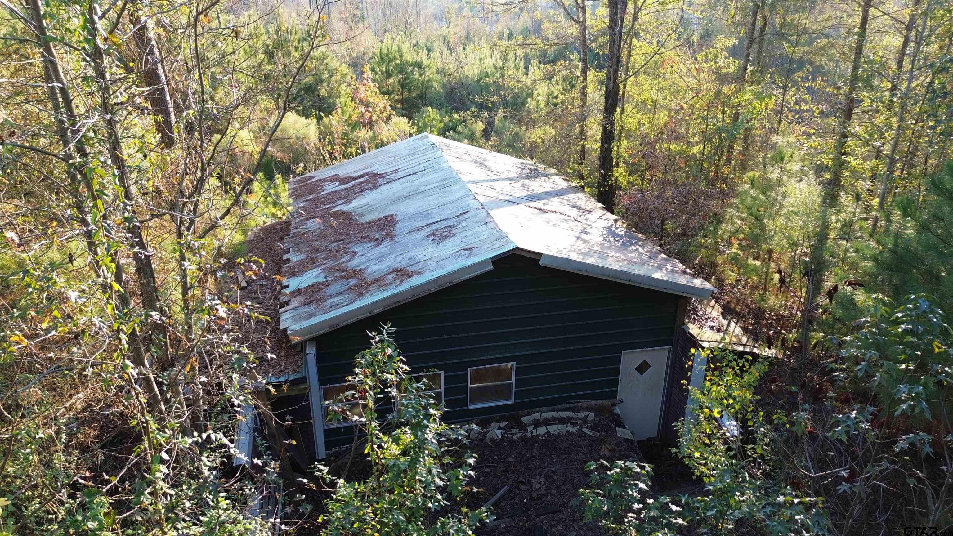1204 Vance Hughes Springs, TX 75656 - Photo 24 of 26 a view of a backyard with plants and large trees