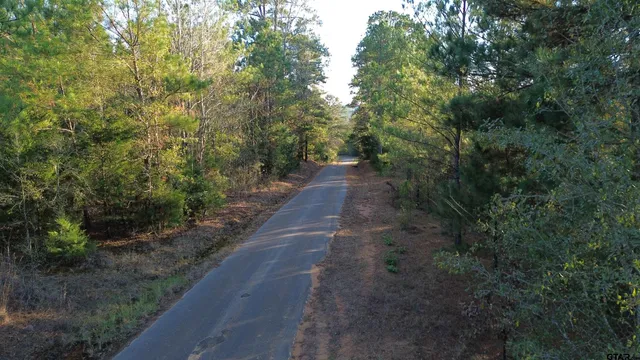 a view of a pathway with a yard