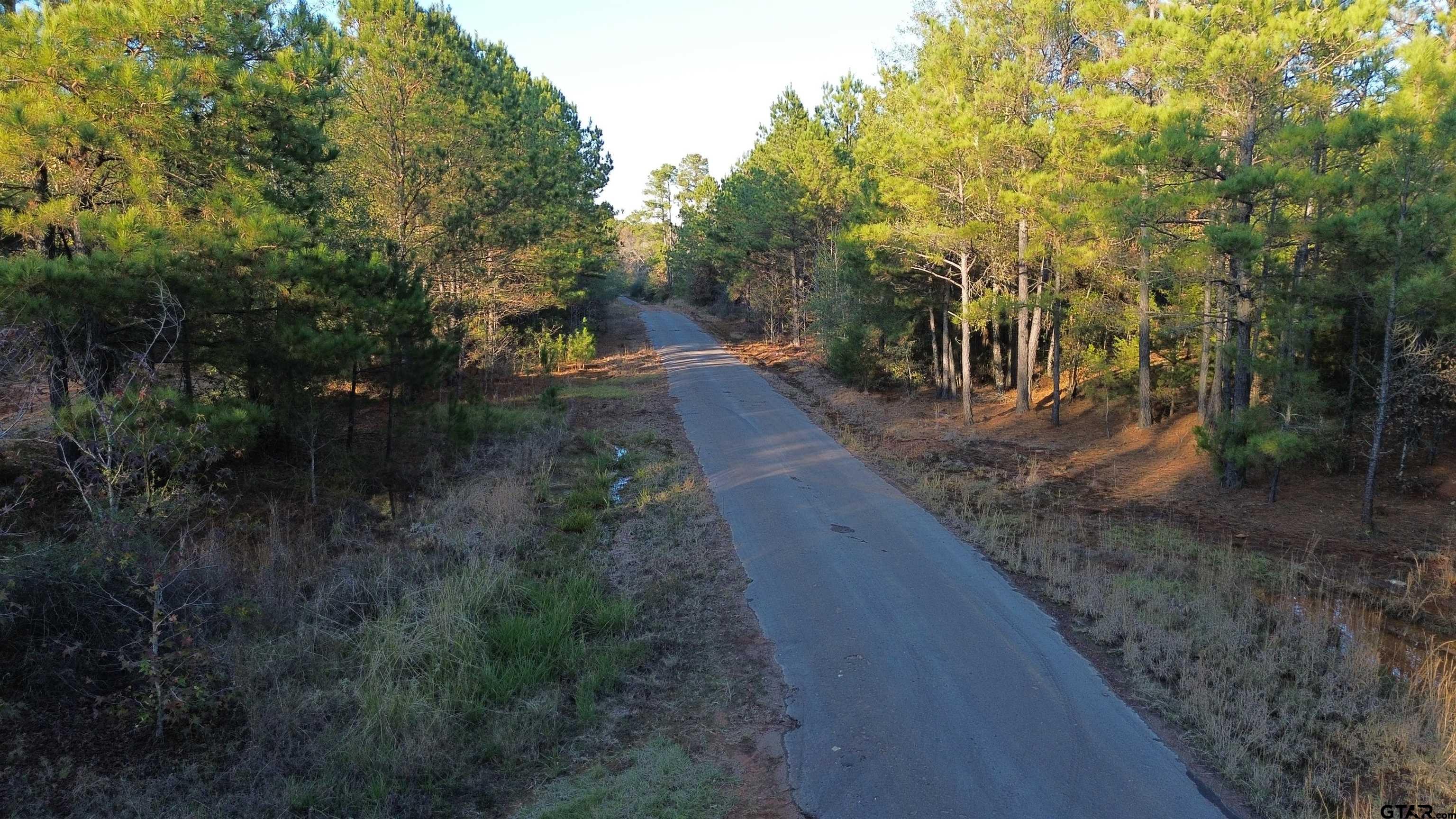 1204 Vance Hughes Springs, TX 75656 - Photo 26 of 26 a view of a yard with plants and trees