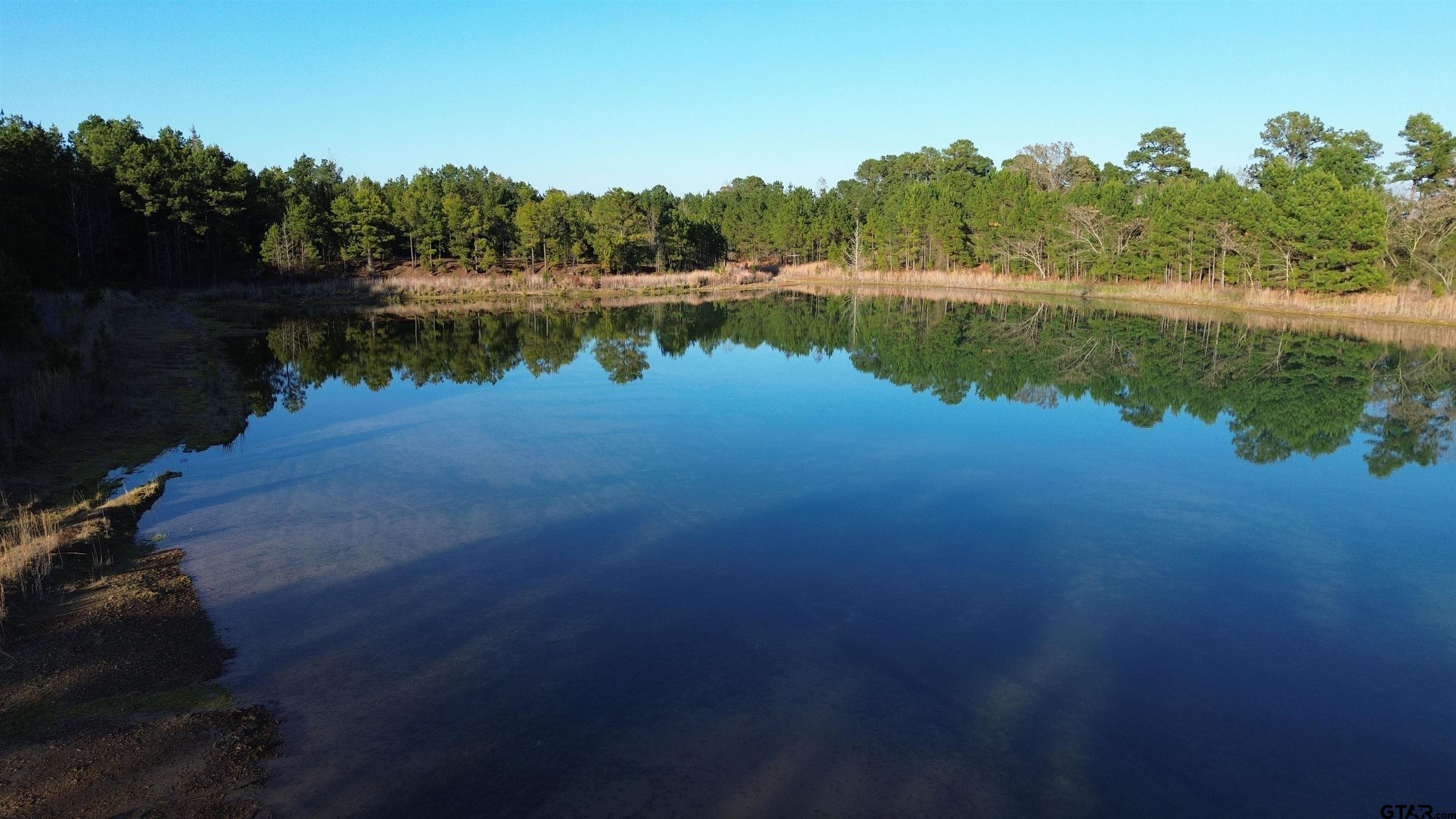 1204 Vance Hughes Springs, TX 75656 - Photo 3 of 26 a view of a lake with houses in outdoor space